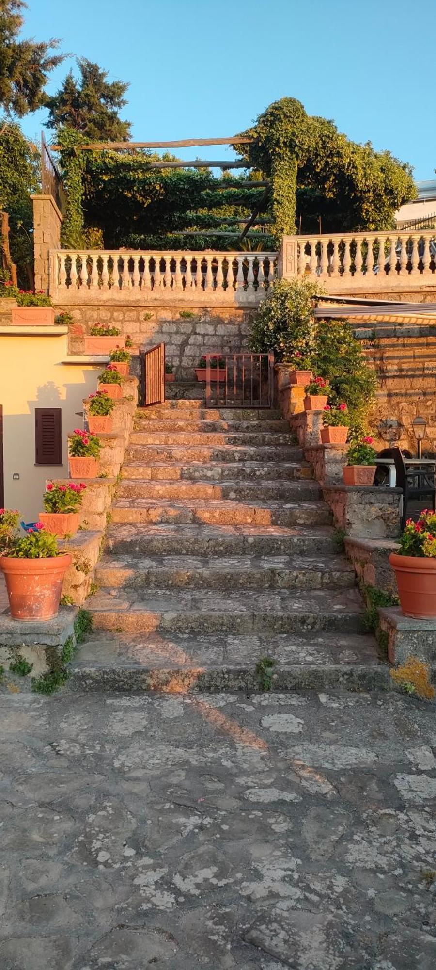 Vila Collywood Piano di Sorrento Exteriér fotografie